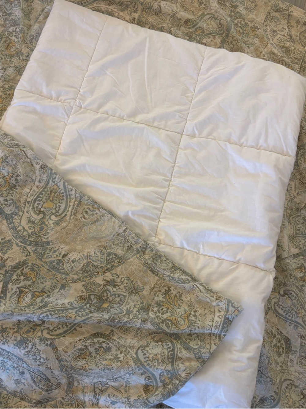 Pottery Barn Twin Paisley Duvet Cover + Serta Twin Comforter Insert